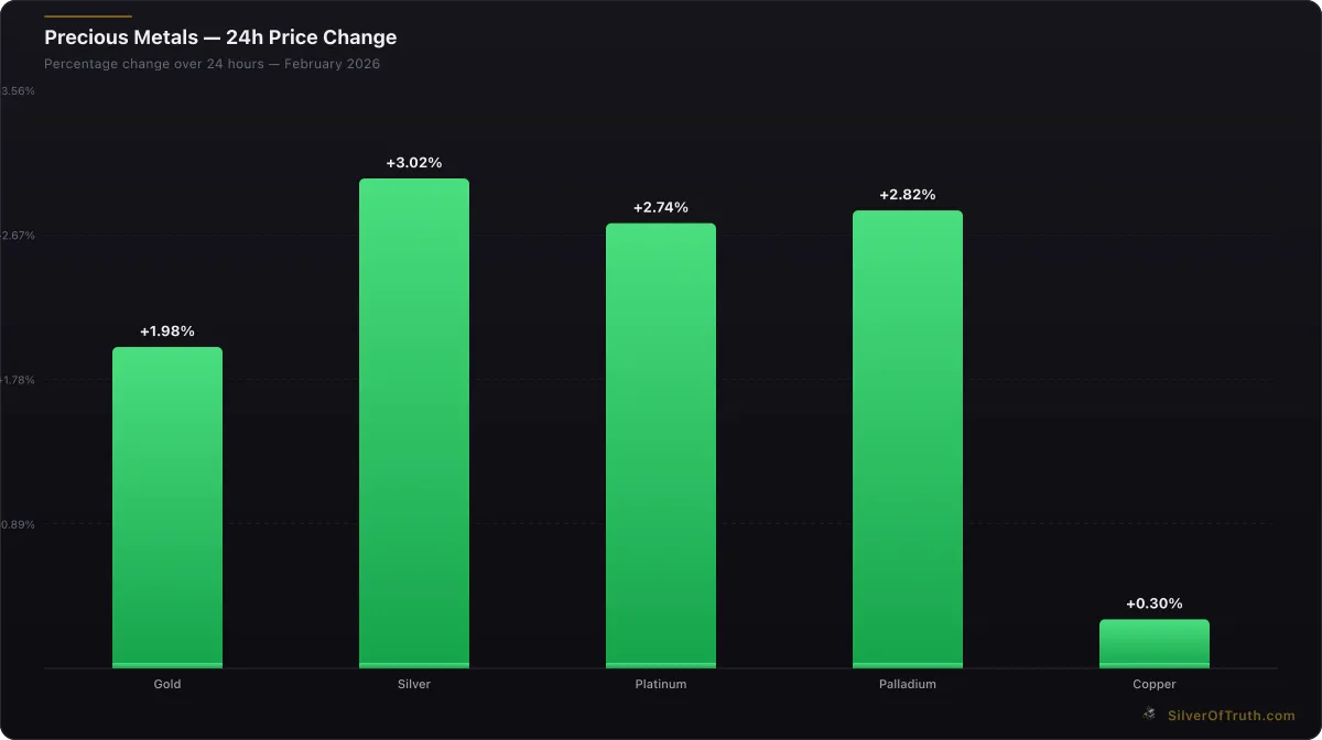 Precious metals 24-hour price change comparison chart for gold silver platinum palladium copper - SilverOfTruth data February 2026